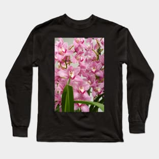 Pink Cymbidium Orchids Long Sleeve T-Shirt